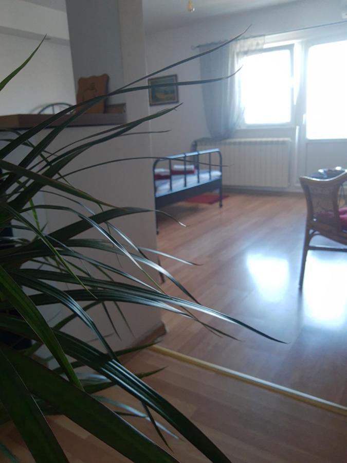 Alexandar Apartment Beograd Bagian luar foto