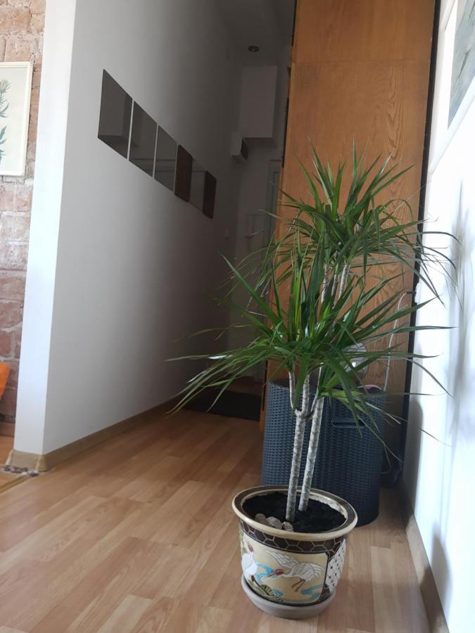 Alexandar Apartment Beograd Bagian luar foto